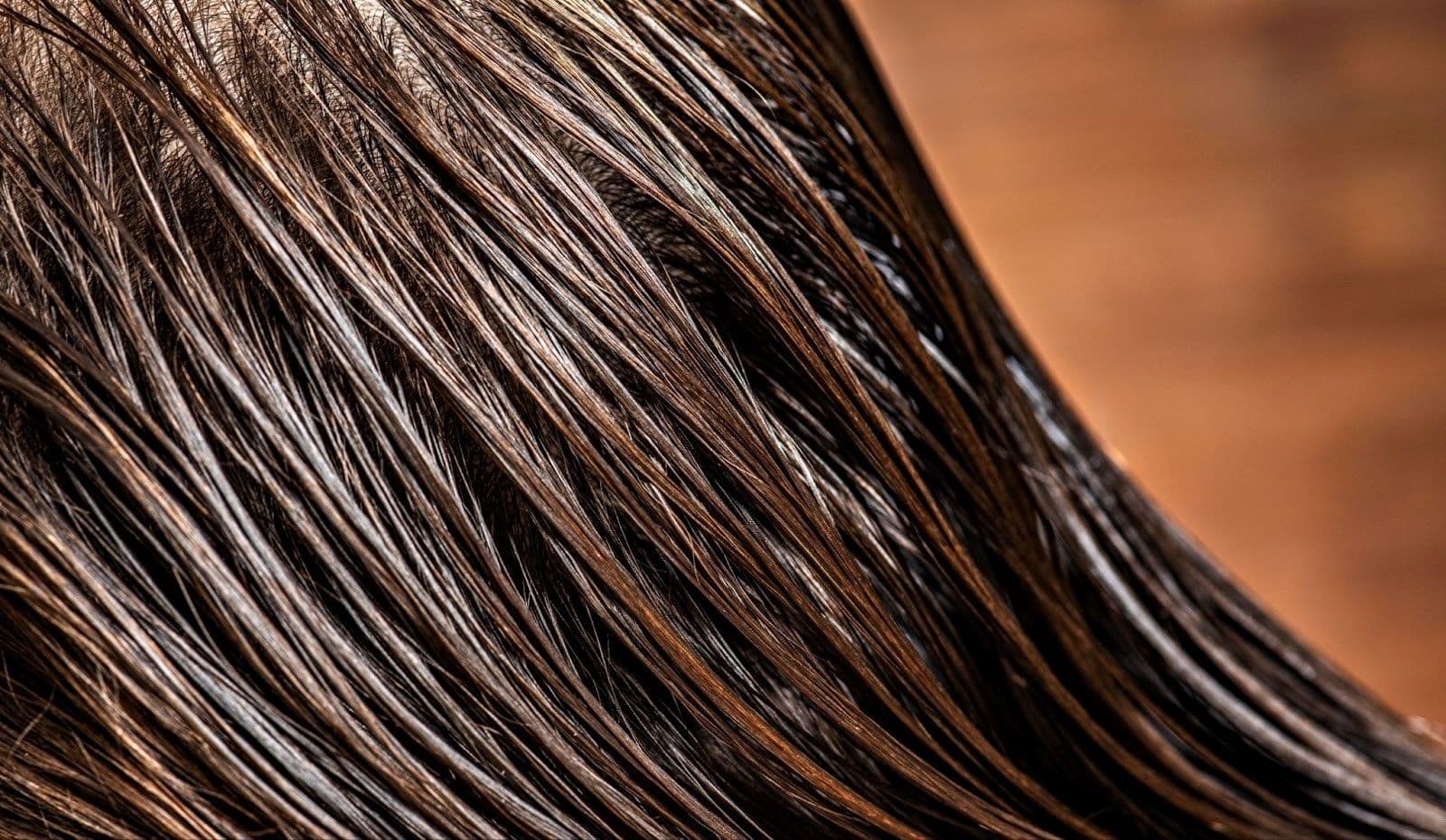 3Reason to Try Hair Botox.jpg