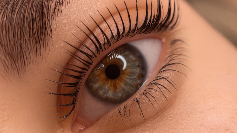 Long voluminous eyelash extensions with dramatic curl and defined look