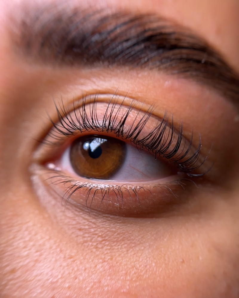 a brown eye with long, curled eyelash extensions and a neatly groomed eyebrow
