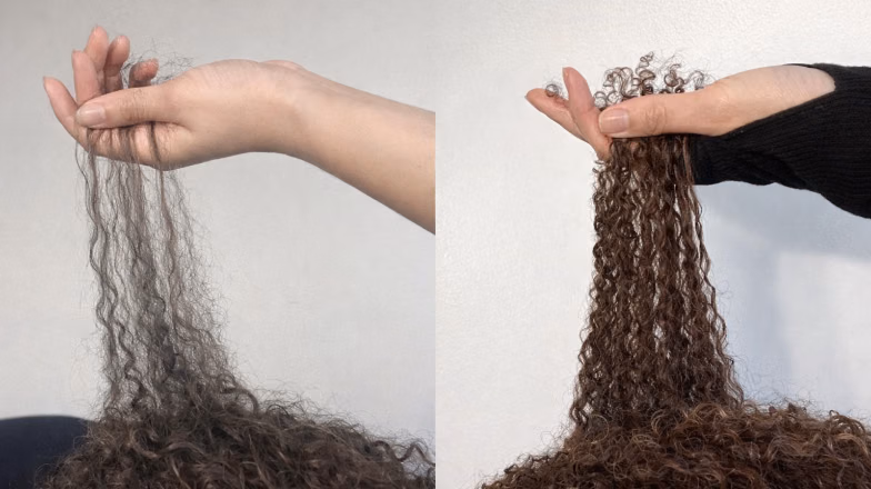 Close-up comparison of broken hair strands and naturally shed hair to illustrate hair breakage versus shedding