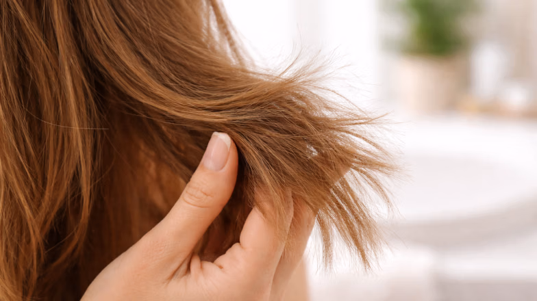 Close-up of dry hair ends showing split ends and breakage damage