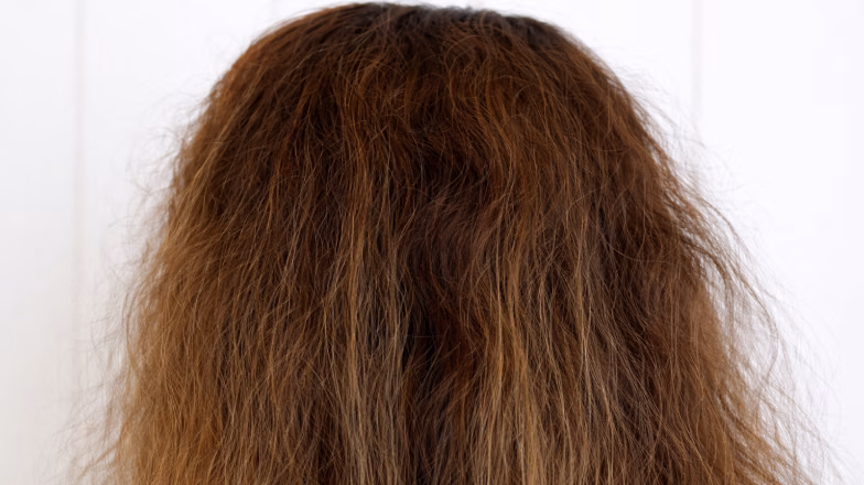 Close-up of dry, frizzy hair texture showing visible damage and lack of smoothness
