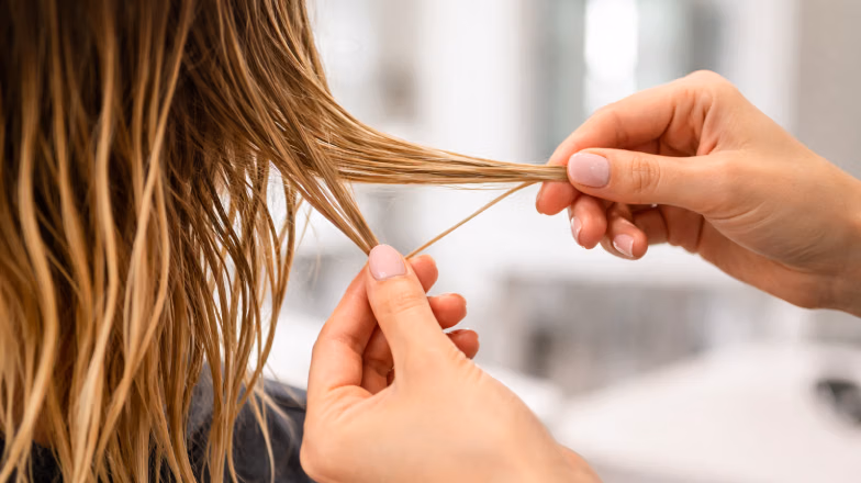 Close-up of hands stretching a strand of hair to test elasticity and identify structural damage