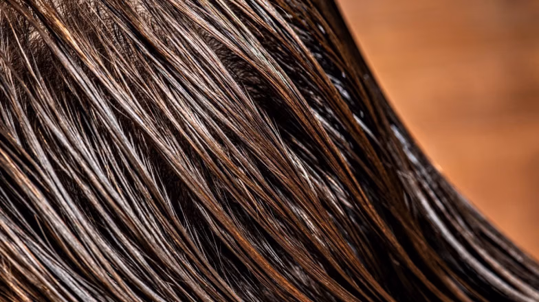 Close-up of smooth shiny hair texture after hair botox treatment showing restored hydration