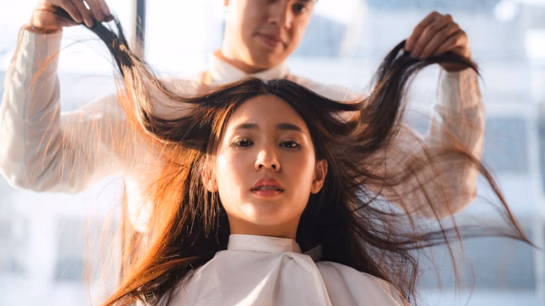 Hair stylist examining and lifting long hair before hair botox treatment in a beauty salon