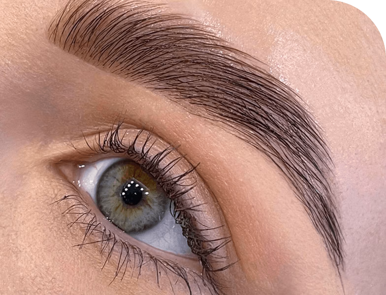 Close-up of eye with natural refined makeup and well-groomed eyebrow, showcasing professional special event makeup in Dubai